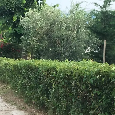 Casa Dei Fiori Holiday home